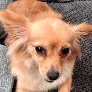 Meet your Posher, Gina